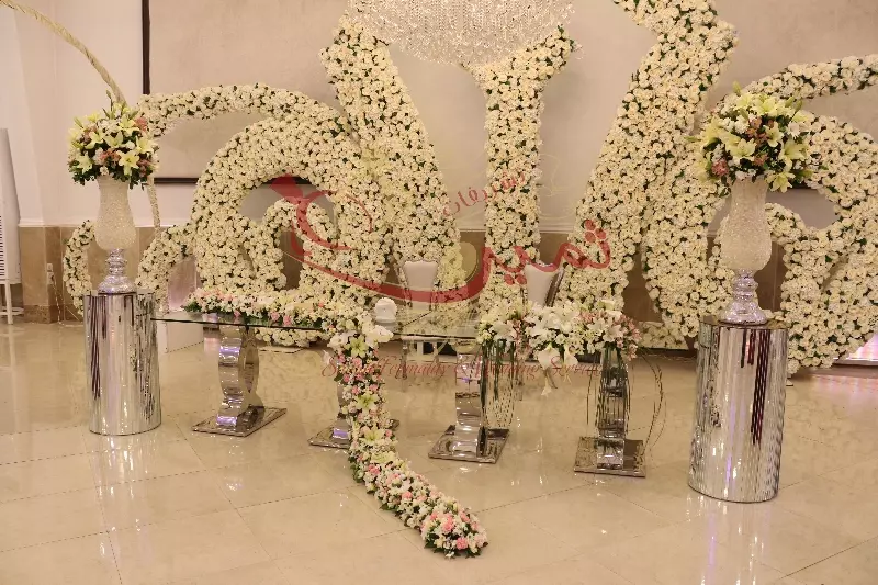 عکس های گالری