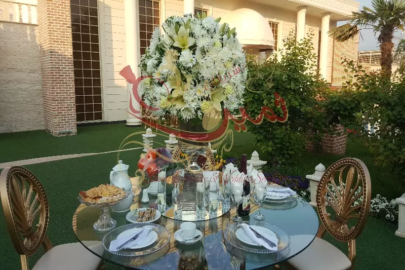 عکس های گالری