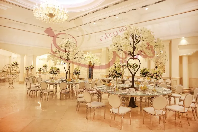 عکس های گالری