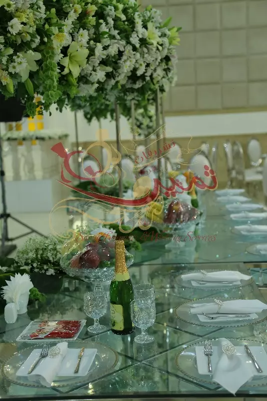 عکس های گالری