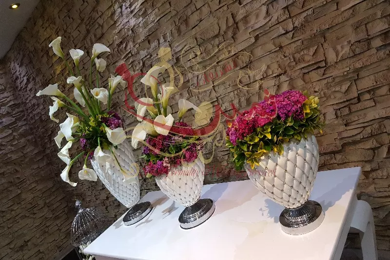 عکس های گالری