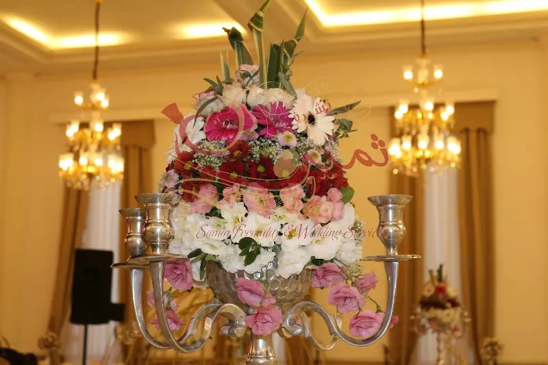 عکس های گالری