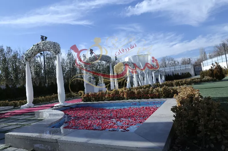 عکس های گالری