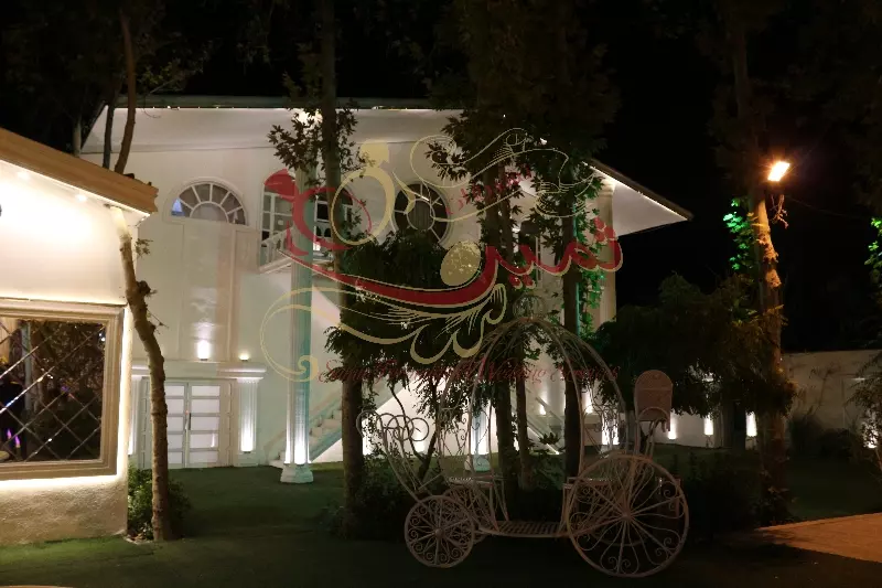 عکس های گالری