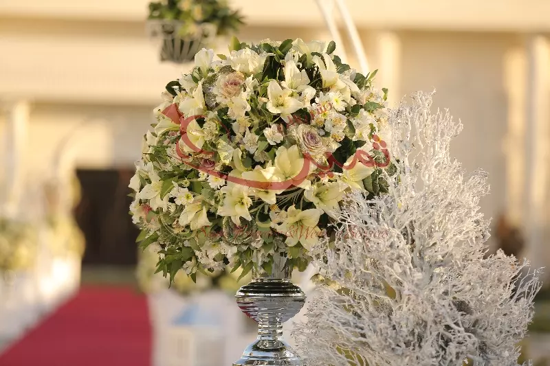 عکس های گالری