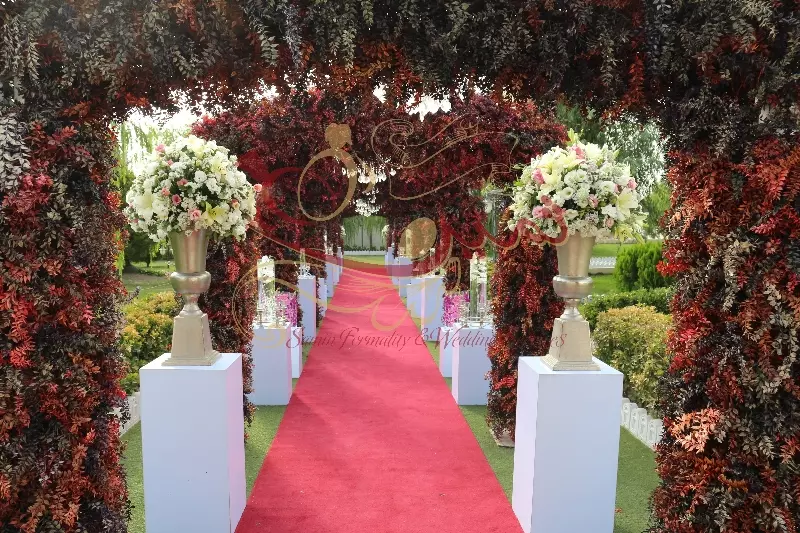 عکس های گالری