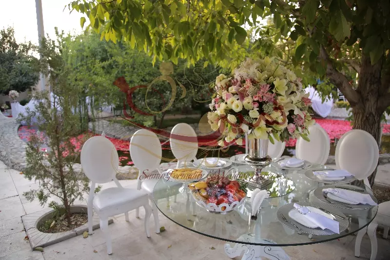 عکس های گالری