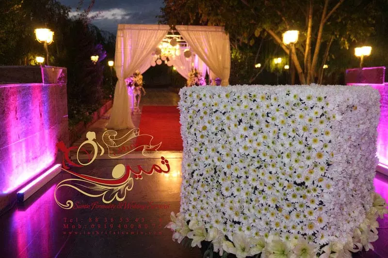 عکس های گالری