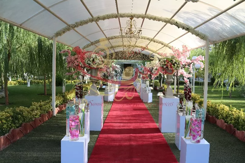 عکس های گالری