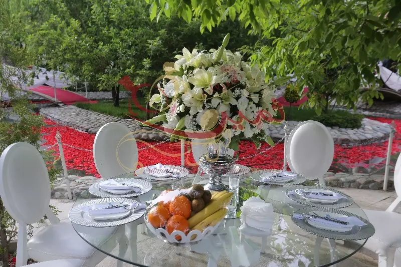 عکس های گالری