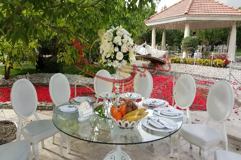 عکس های گالری