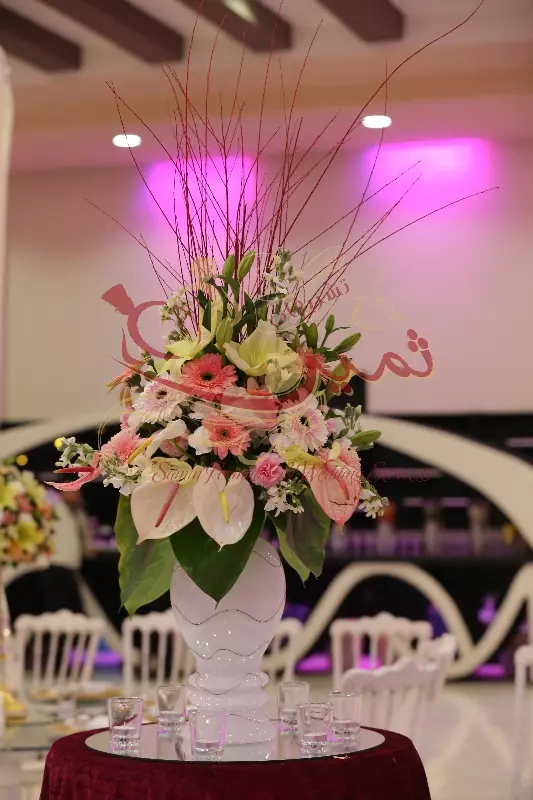 عکس های گالری