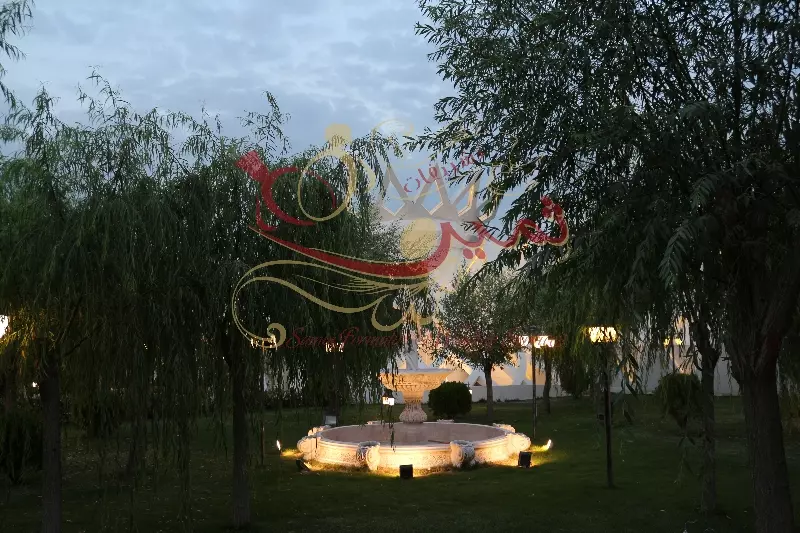 عکس های گالری