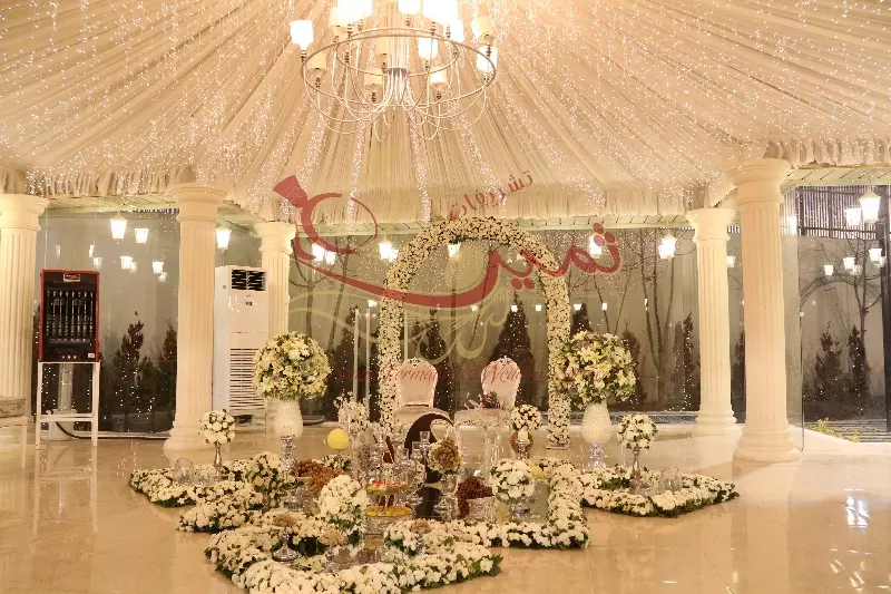 عکس های گالری