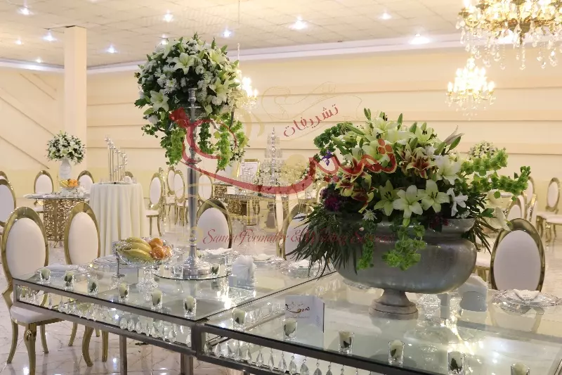 عکس های گالری