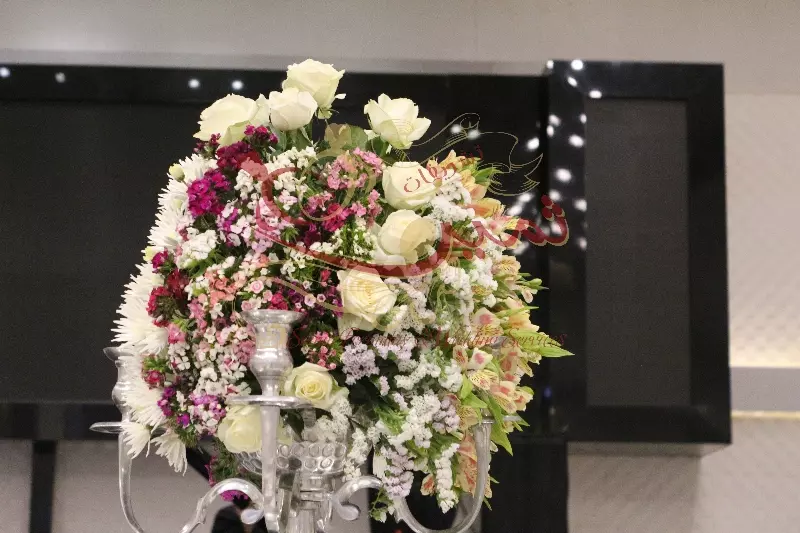 عکس های گالری