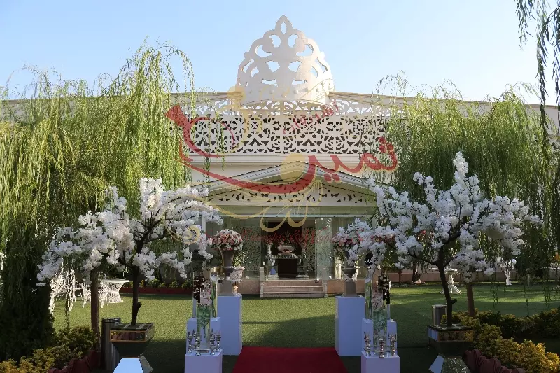 عکس های گالری