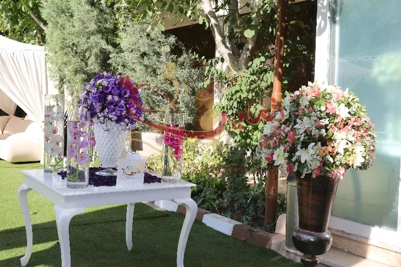 عکس های گالری