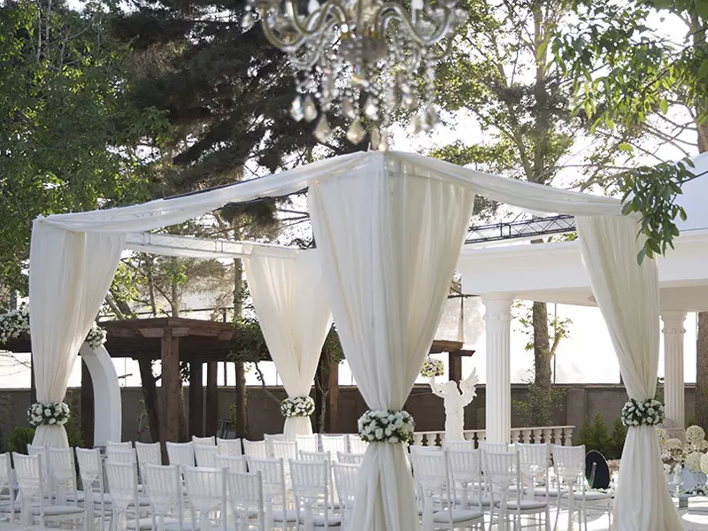 عکس های گالری