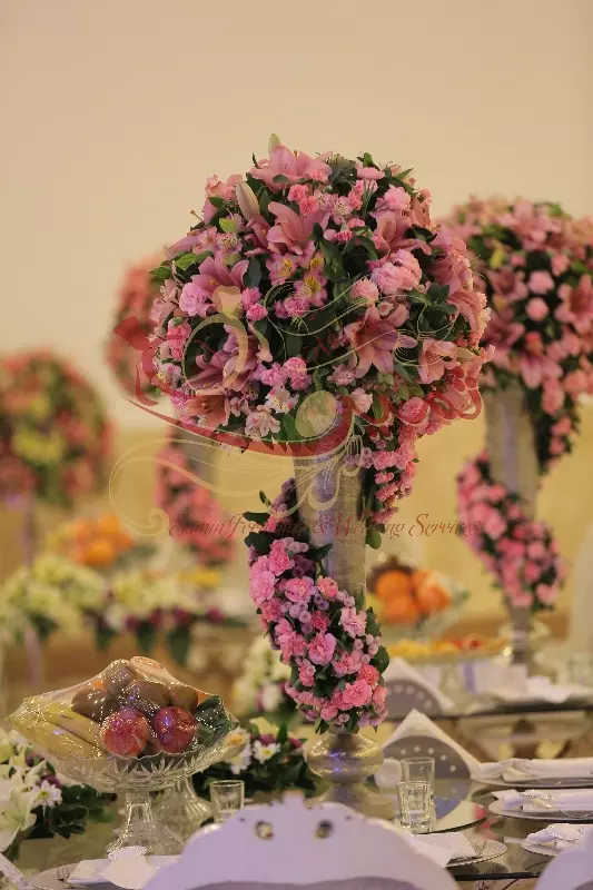 عکس های گالری