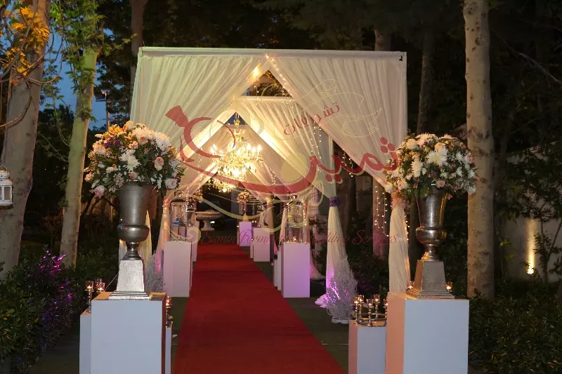 عکس های گالری