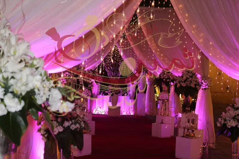 عکس های گالری