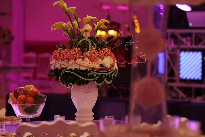 عکس های گالری