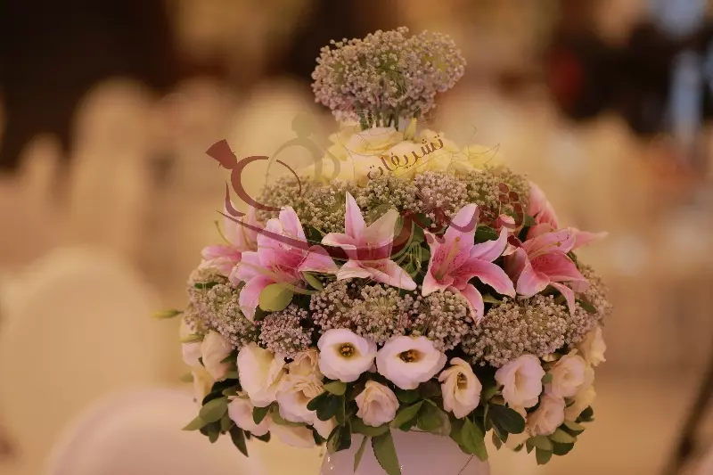 عکس های گالری