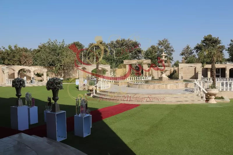 عکس های گالری