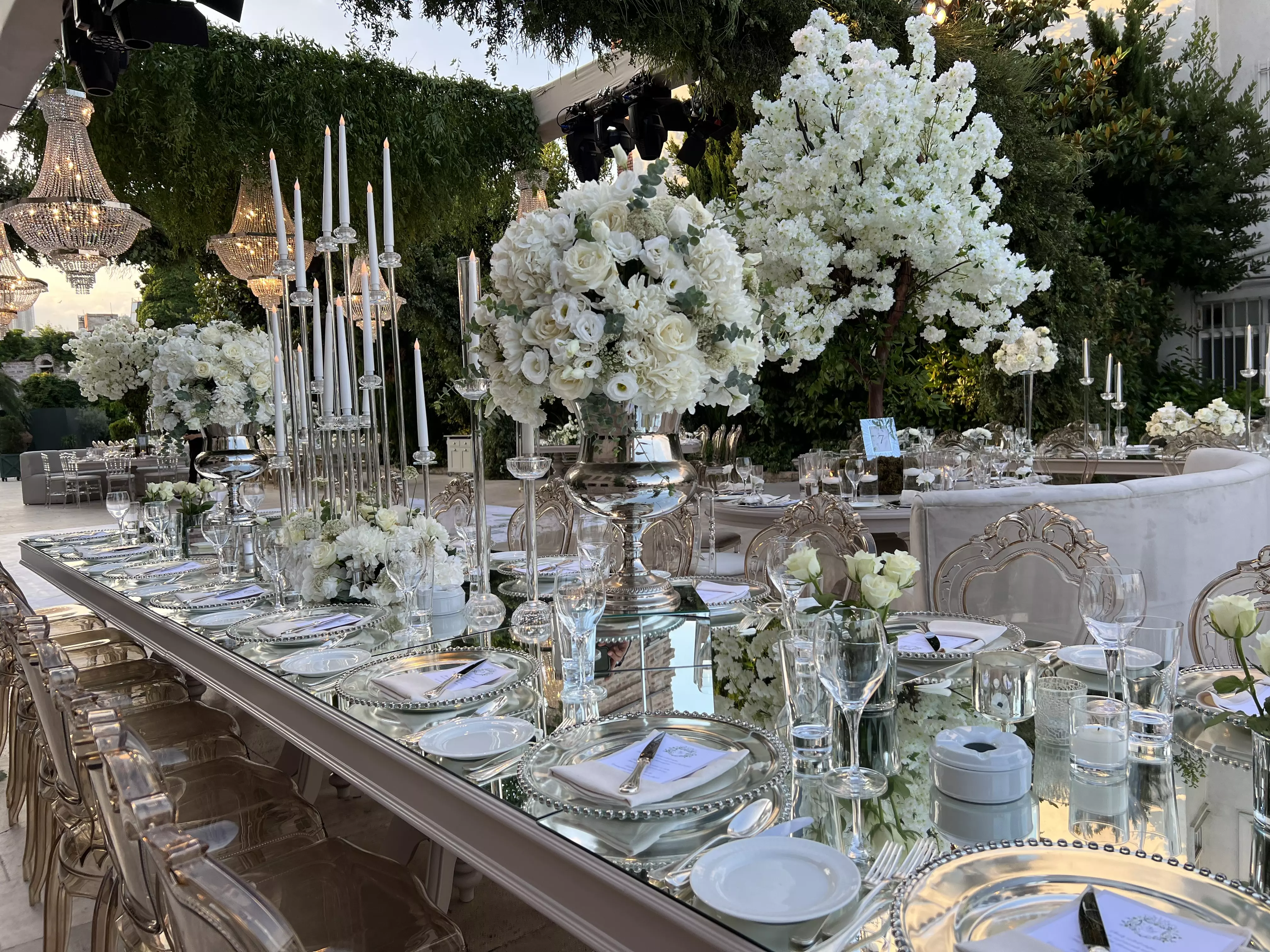 عکس های گالری