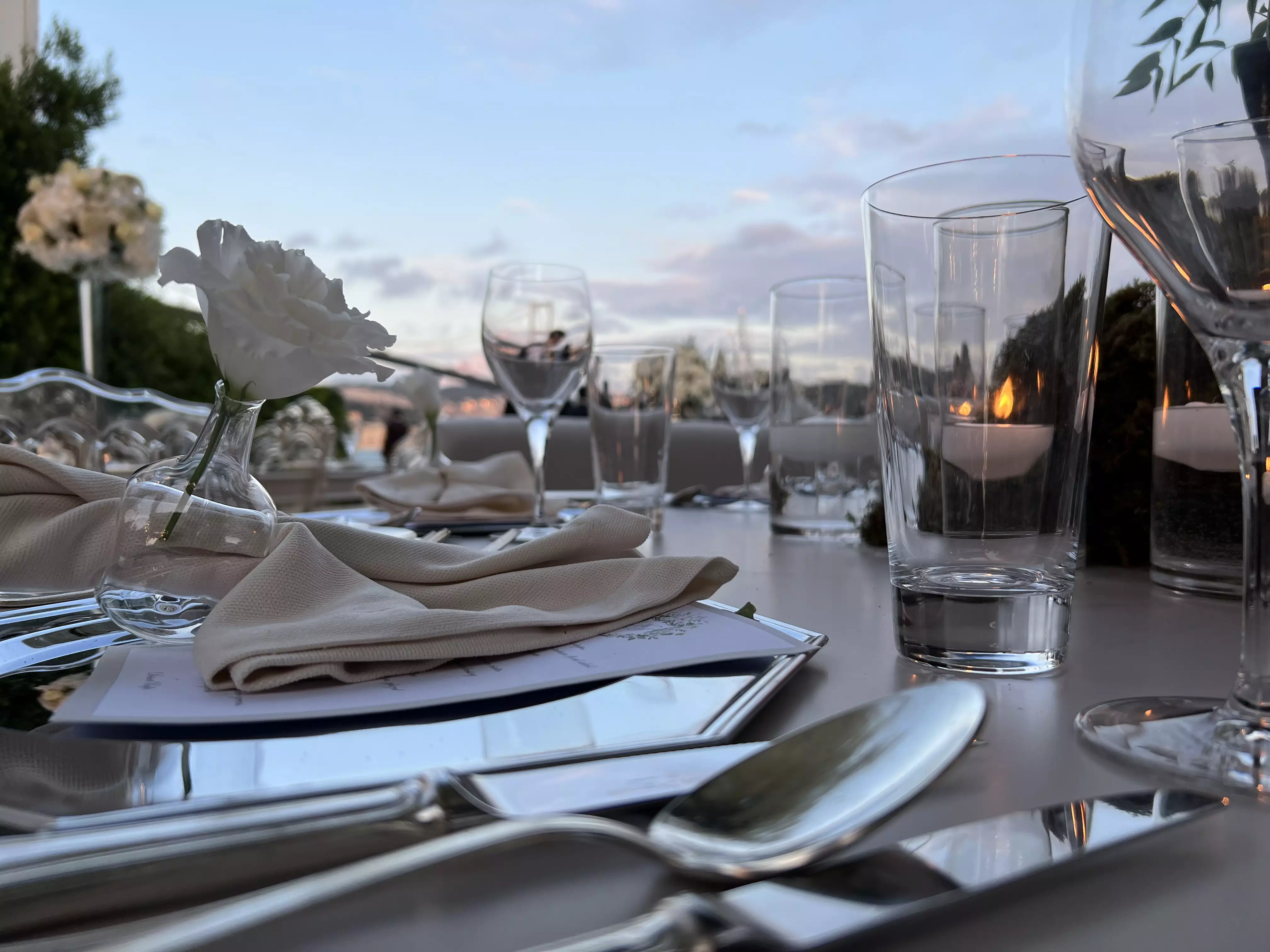 عکس های گالری