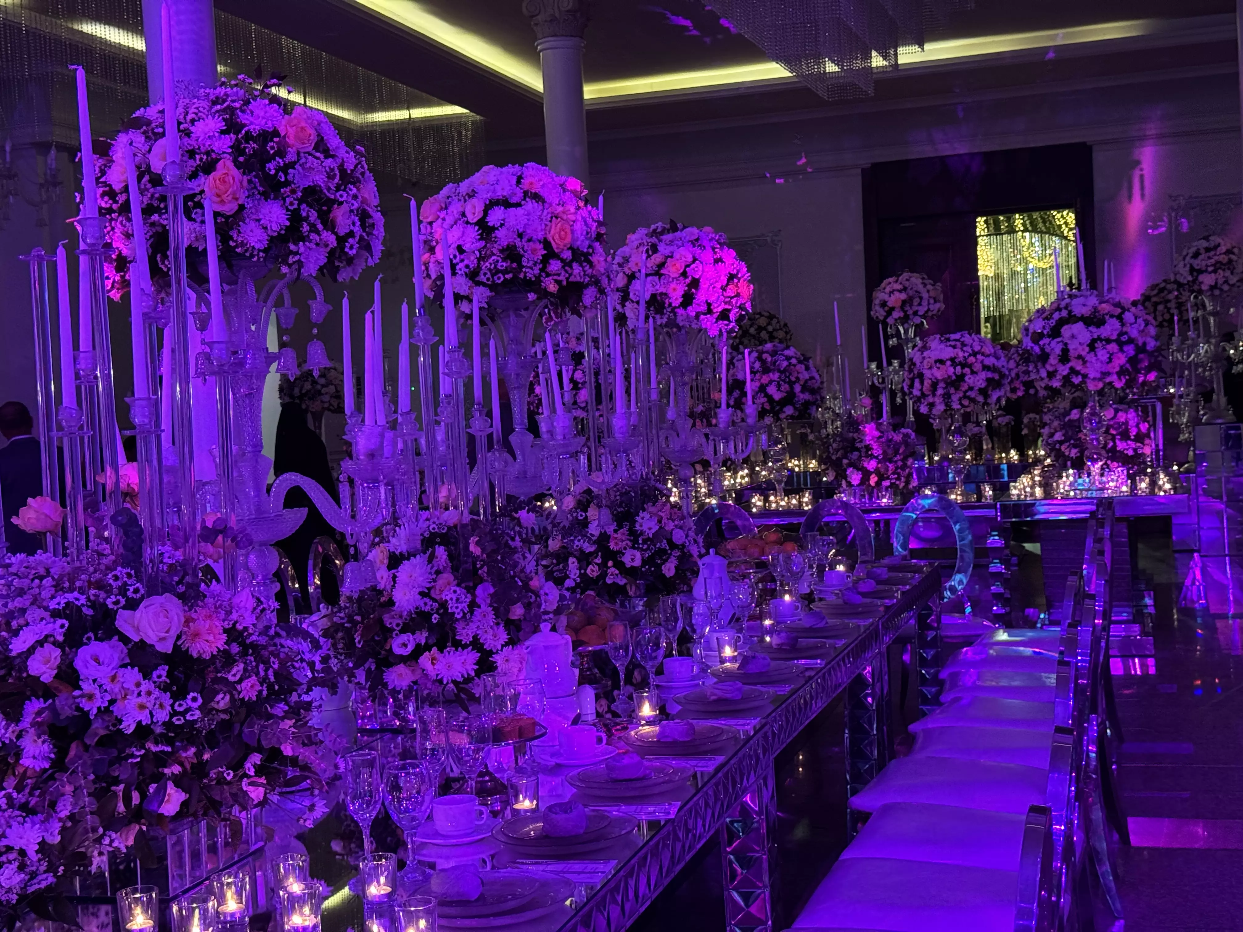 عکس های گالری