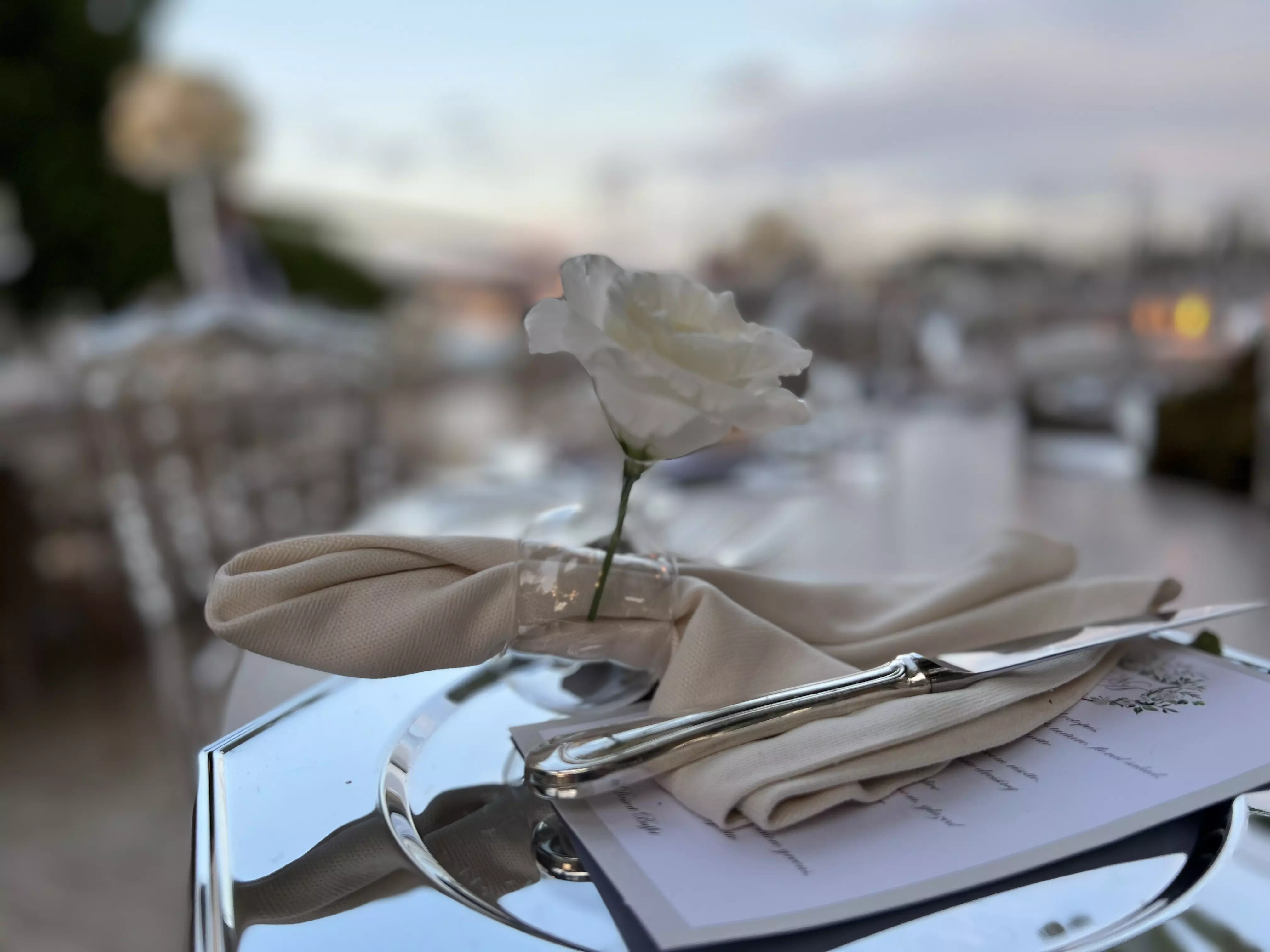 عکس های گالری