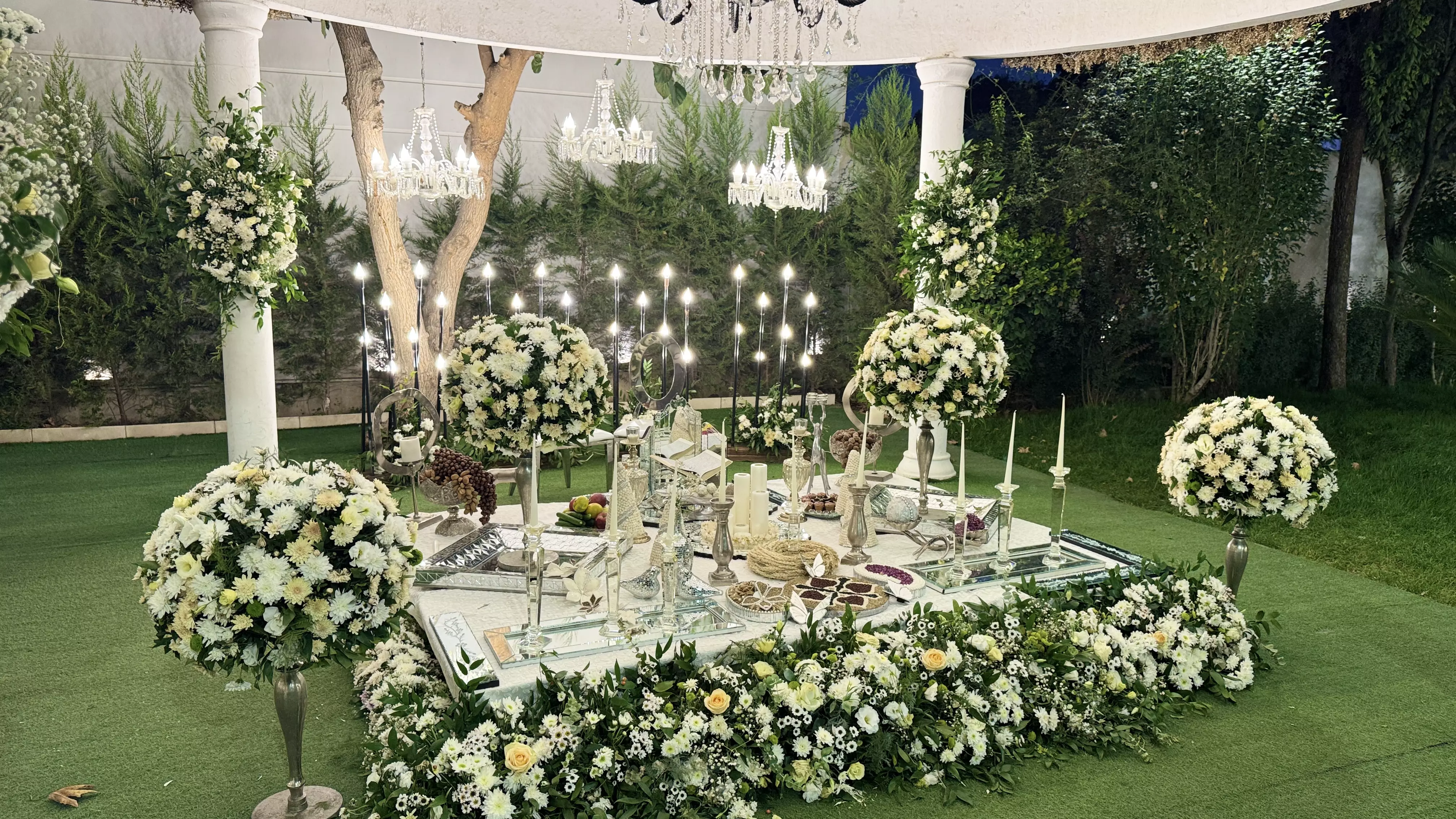 عکس های گالری