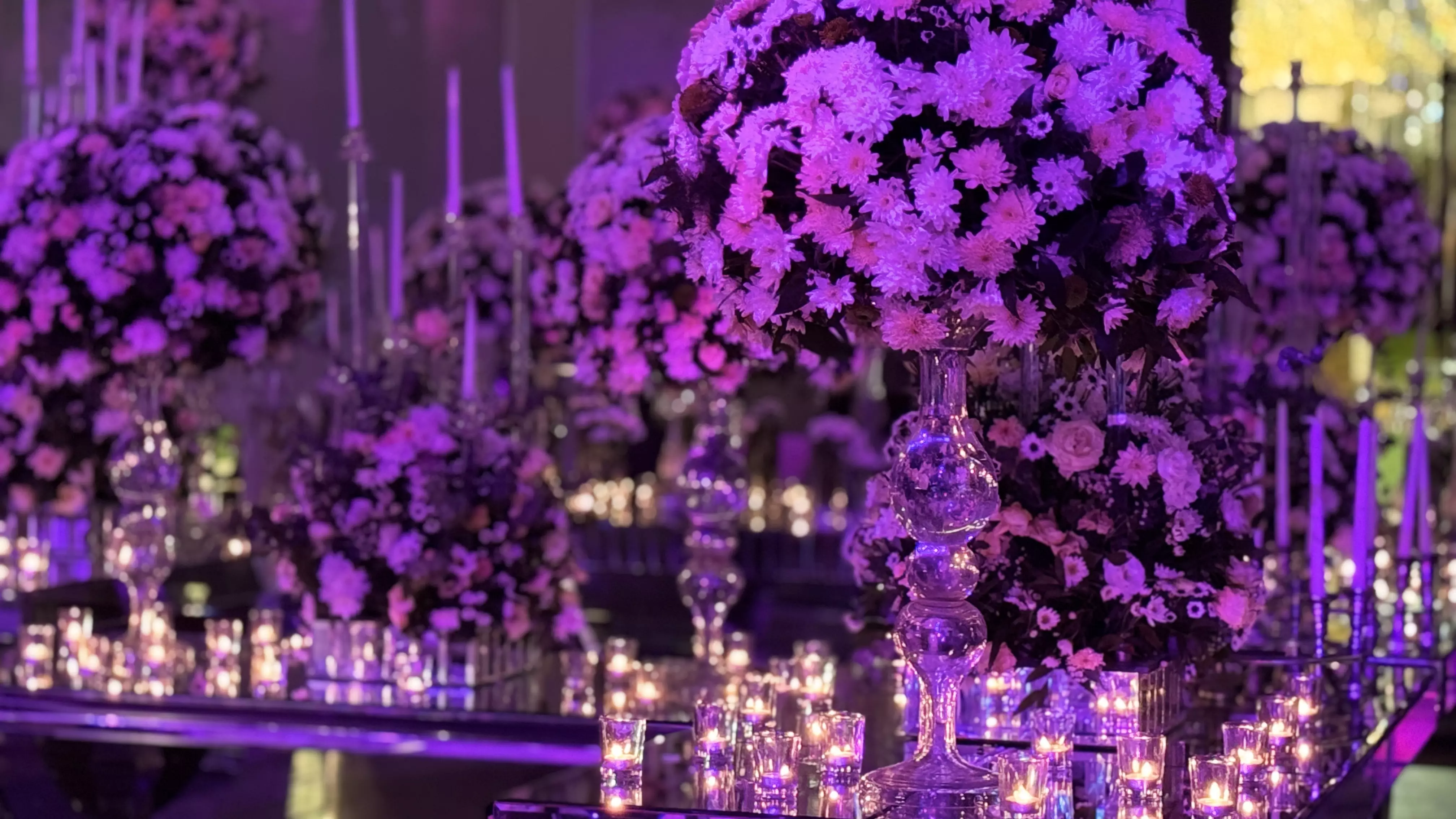 عکس های گالری