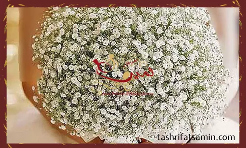 کارهای یک تازه عروس