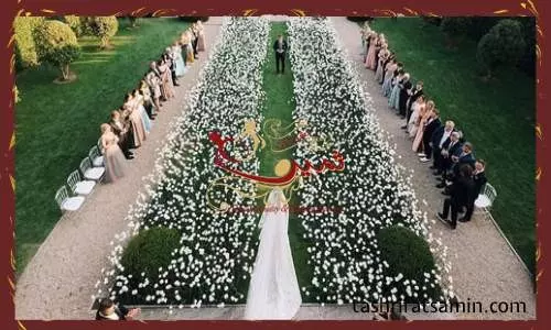 باغ تالار و آپشن های آن