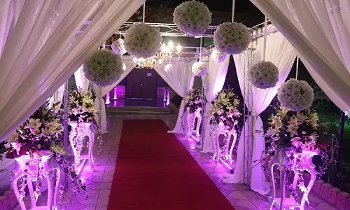 ورودی عروس و داماد