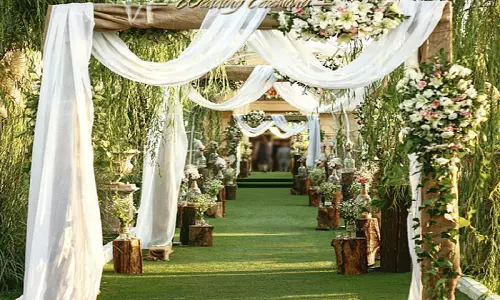 ورودی عروس و داماد