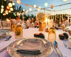 خدمات مجالس تولد