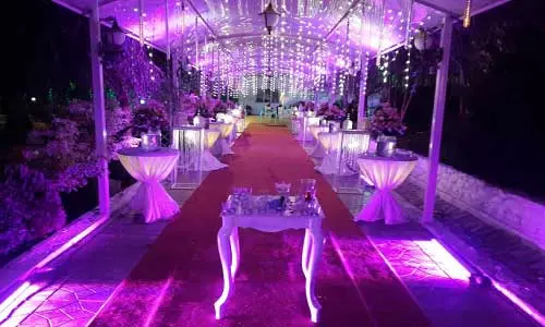 ورودی باغ عروسی _ تشریفات ثمین