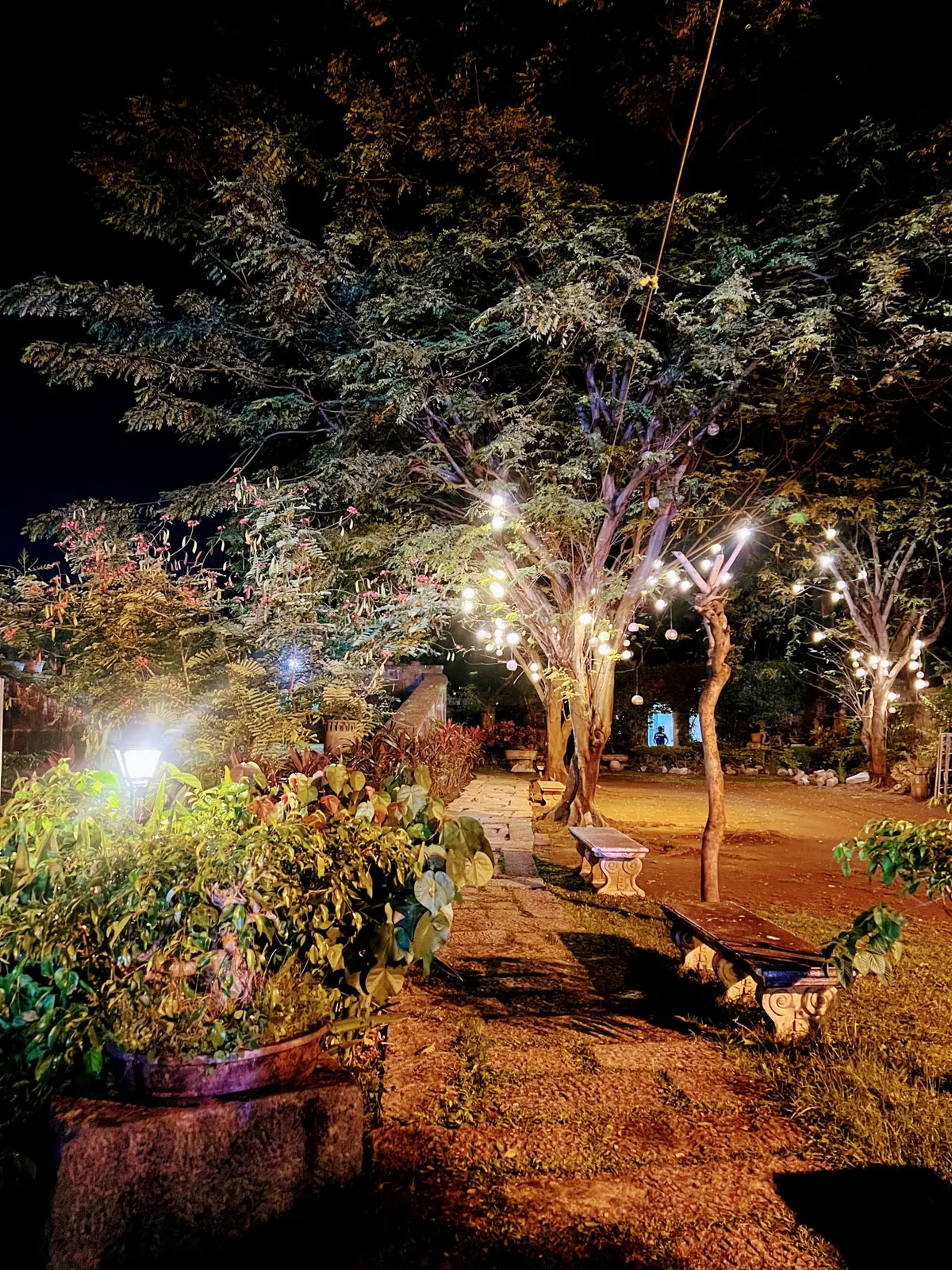 نمای باغ با نورپردازی