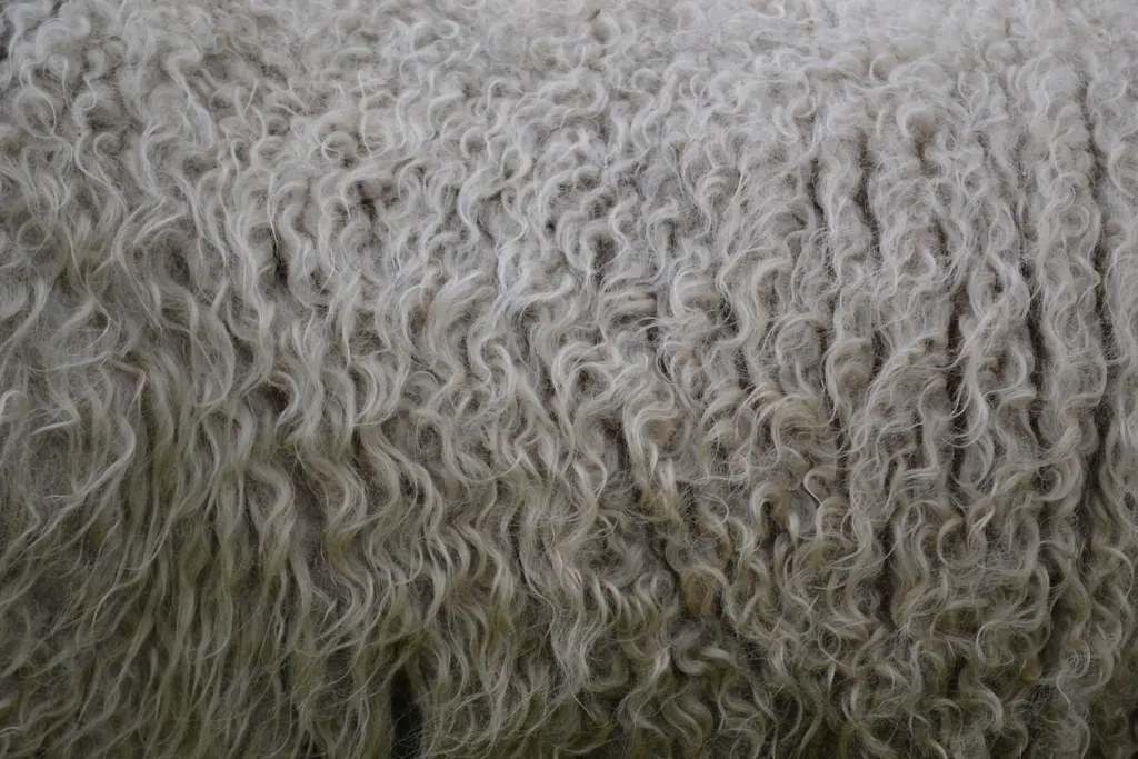 بوهو: قالیچه و کوسن