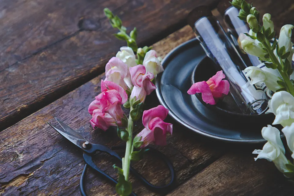 روستیک: میز چوبی و ریسه نور