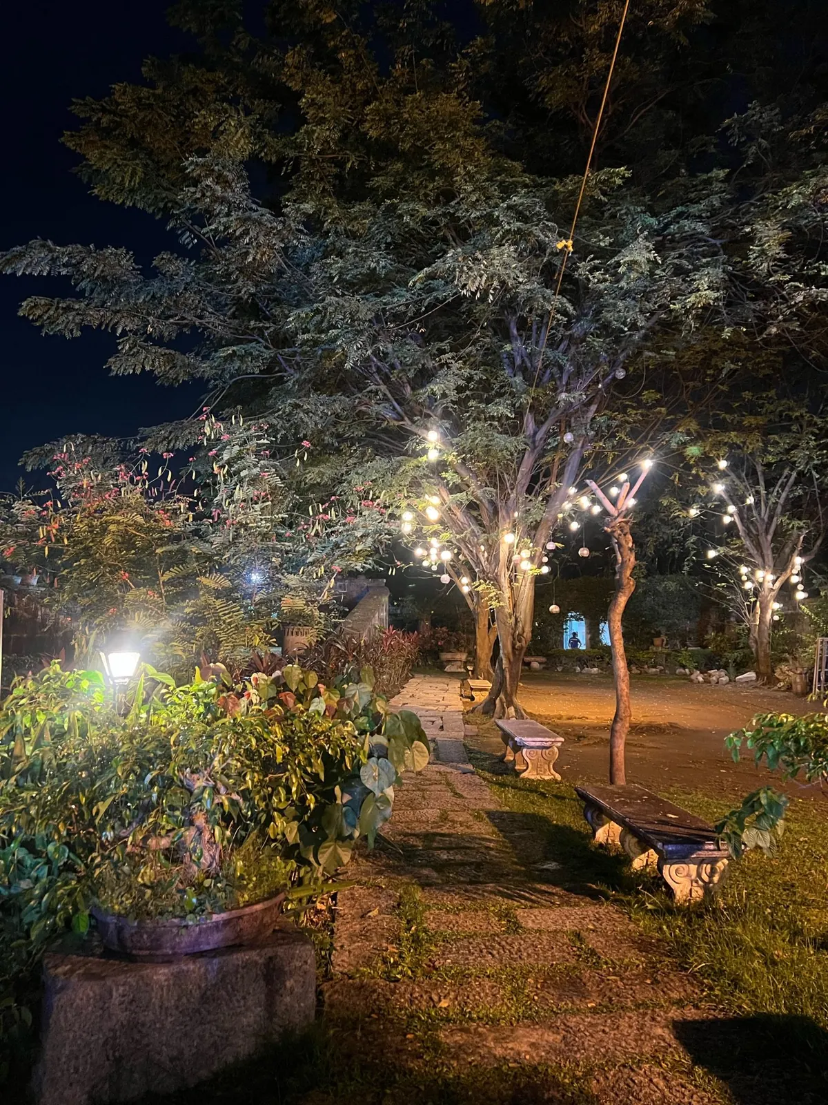 باغ عروسی با نورپردازی شب