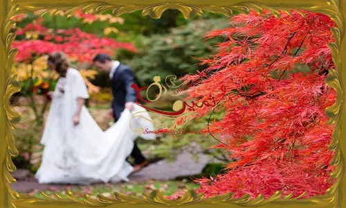 مراسم عروسی در پاییز